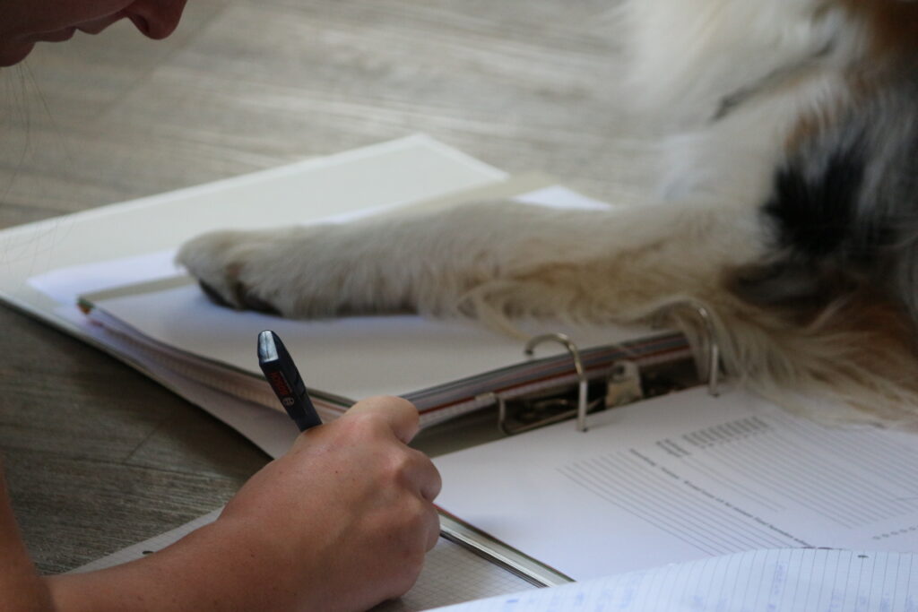 Weiterbildung